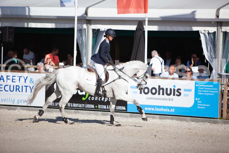 Prüfung showjumping-2 — IMG_4098