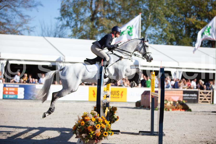 Prüfung showjumping-2 — IMG_4121