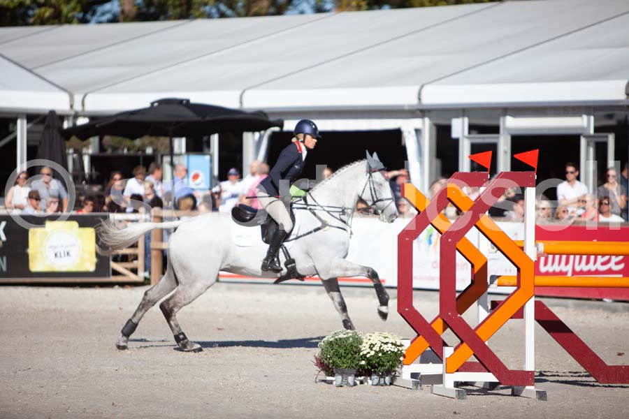 Prüfung showjumping-2 — IMG_4128