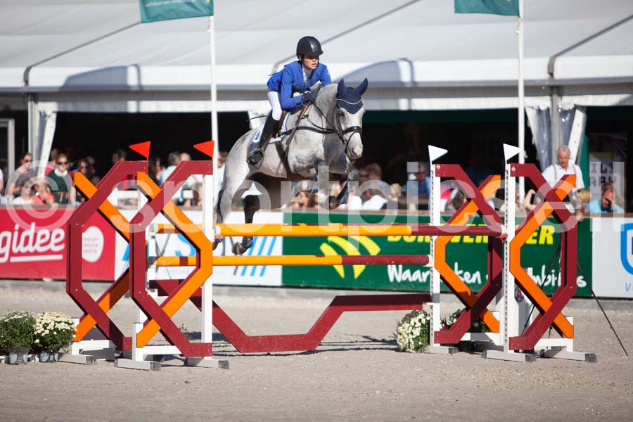 Prüfung showjumping-2 — IMG_4139