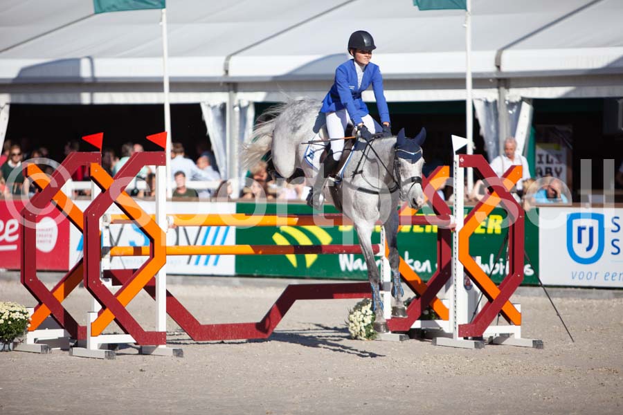 Prüfung showjumping-2 — IMG_4140
