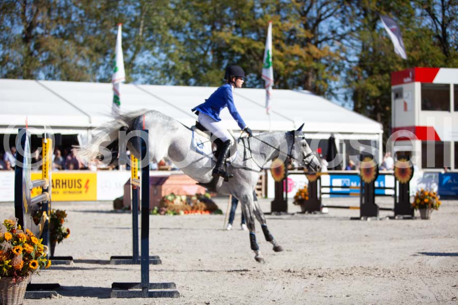 Prüfung showjumping-2 — IMG_4142