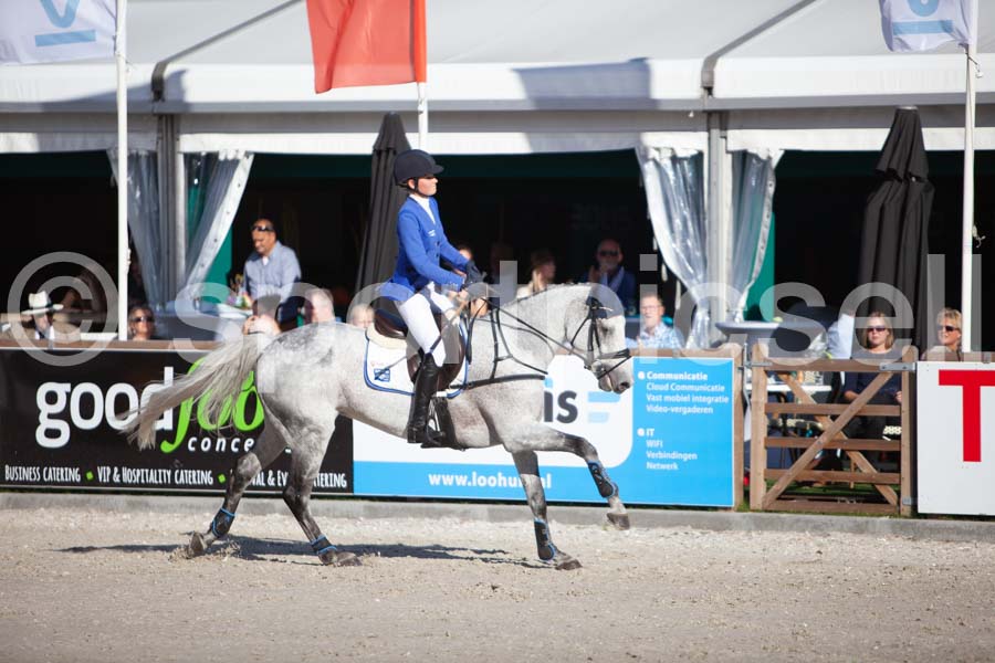 Prüfung showjumping-2 — IMG_4147