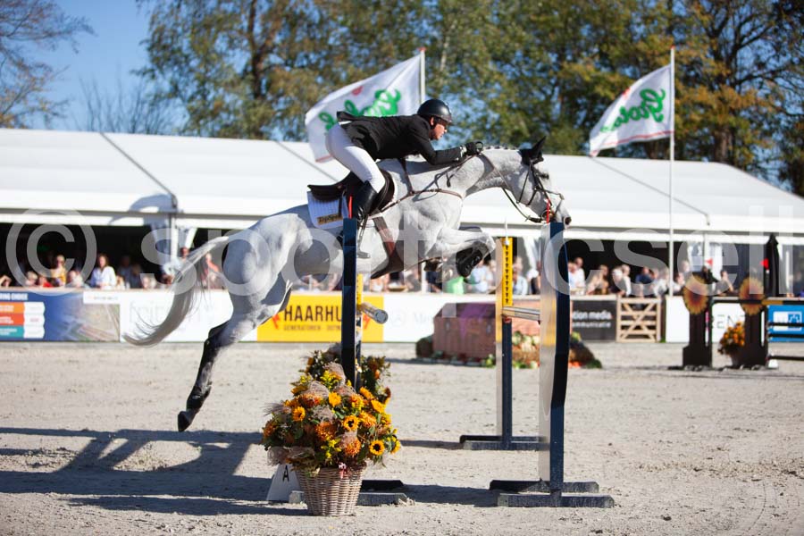 Prüfung showjumping-2 — IMG_4154