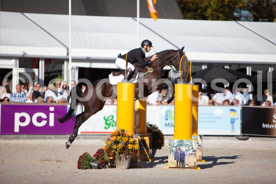 Prüfung showjumping-2 — IMG_4170