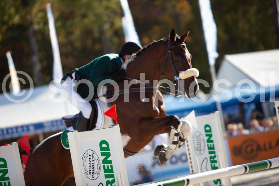 Prüfung showjumping-2 — IMG_4177
