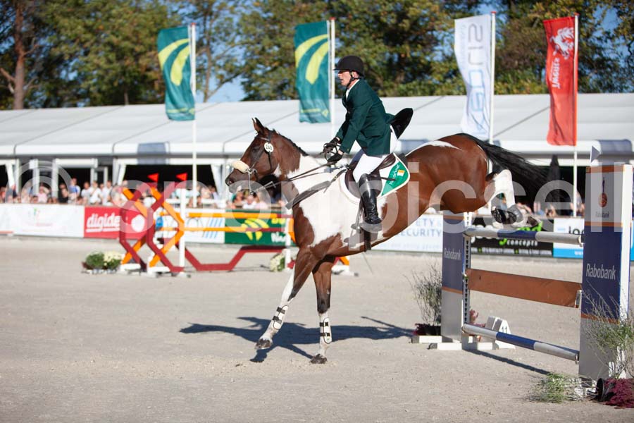 Prüfung showjumping-2 — IMG_4186