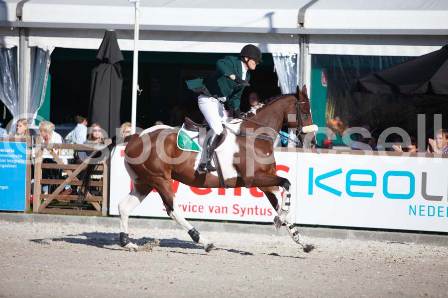 Prüfung showjumping-2 — IMG_4190
