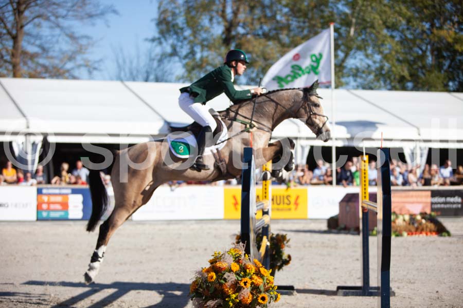 Prüfung showjumping-2 — IMG_4196