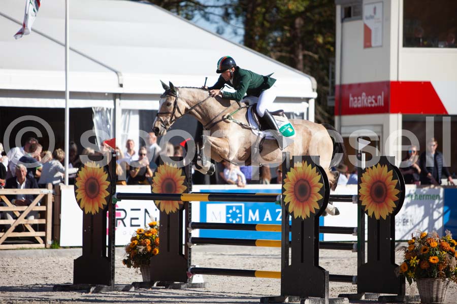 Prüfung showjumping-2 — IMG_4198