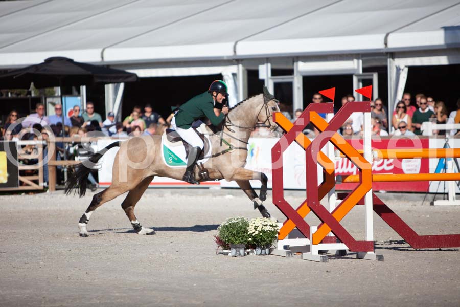Prüfung showjumping-2 — IMG_4202
