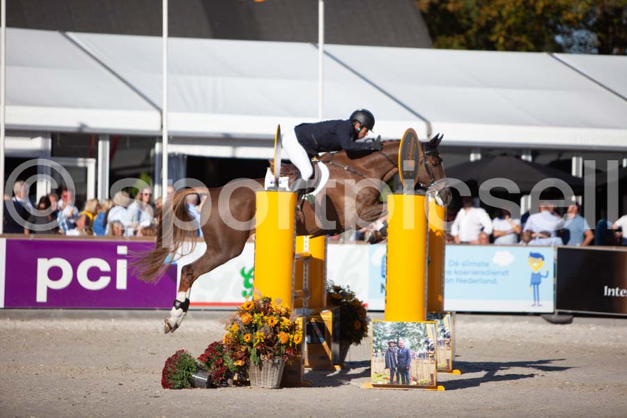 Prüfung showjumping-2 — IMG_4225