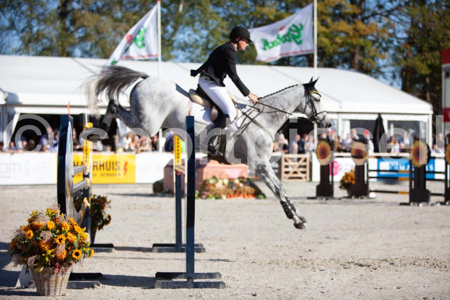 Prüfung showjumping-2 — IMG_4238