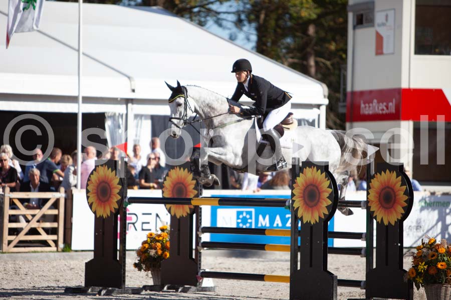 Prüfung showjumping-2 — IMG_4241
