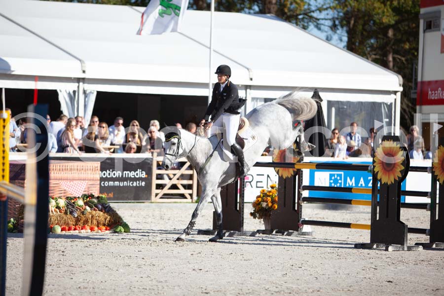 Prüfung showjumping-2 — IMG_4242