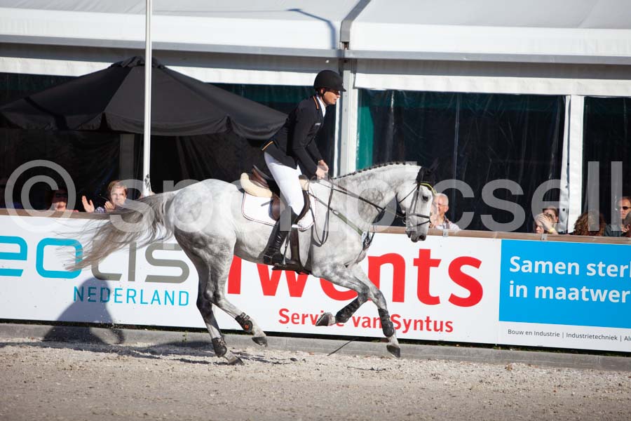 Prüfung showjumping-2 — IMG_4250