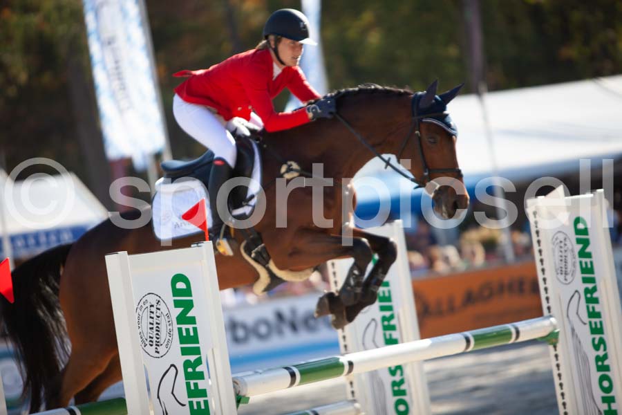 Prüfung showjumping-2 — IMG_4255