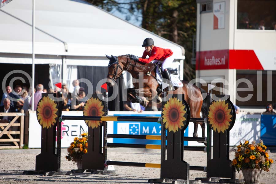 Prüfung showjumping-2 — IMG_4262