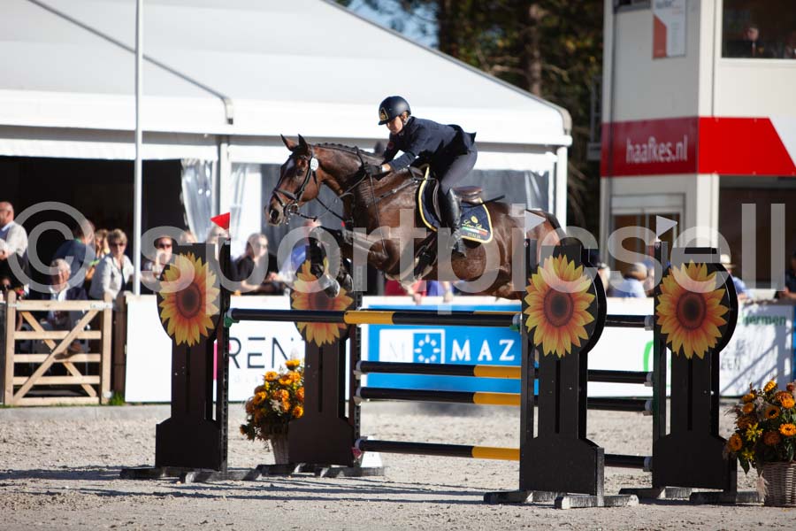 Prüfung showjumping-2 — IMG_4292