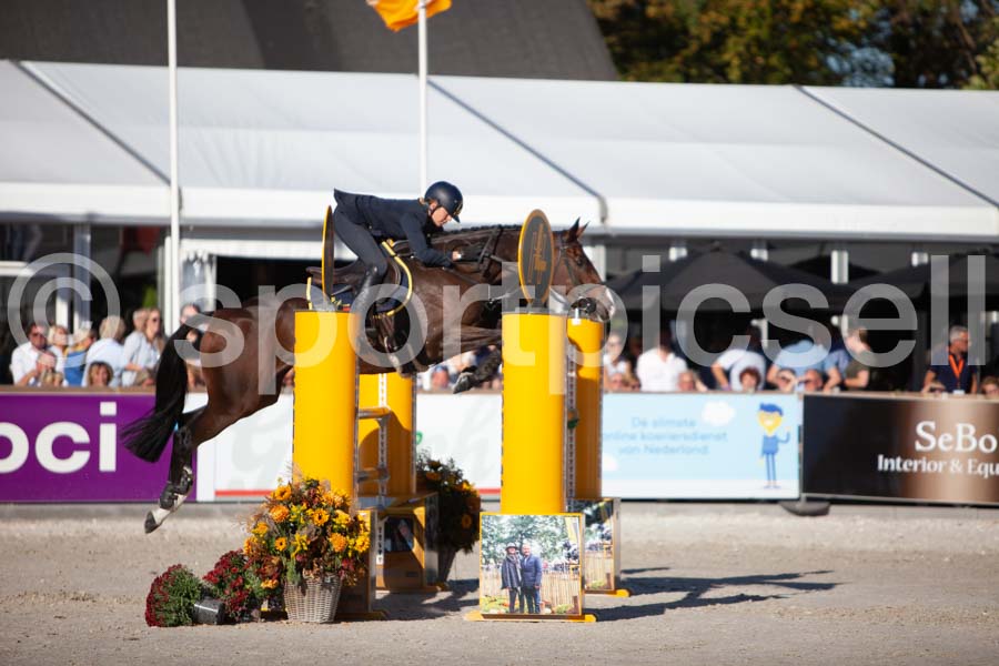 Prüfung showjumping-2 — IMG_4295