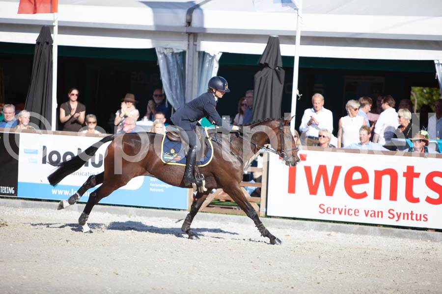 Prüfung showjumping-2 — IMG_4296