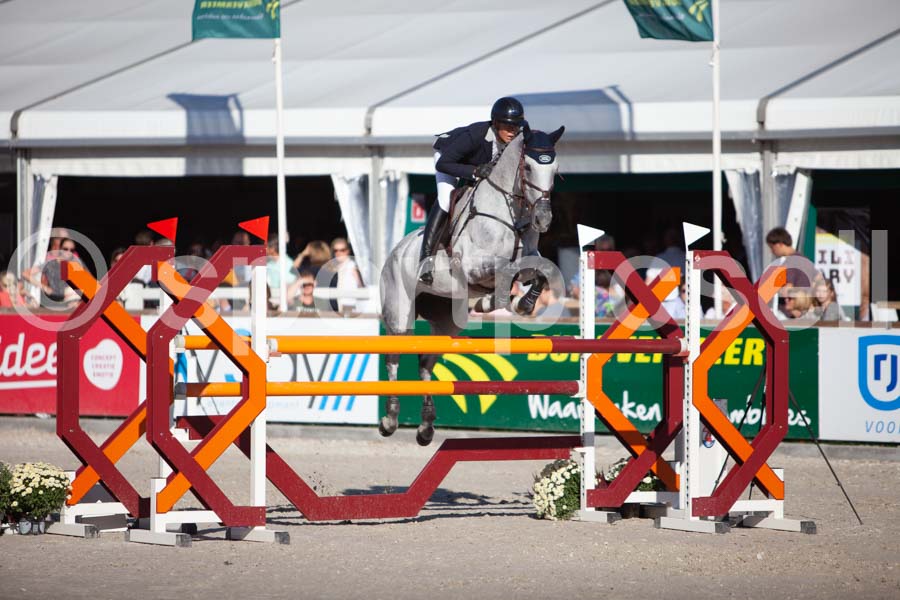 Prüfung showjumping-2 — IMG_4304