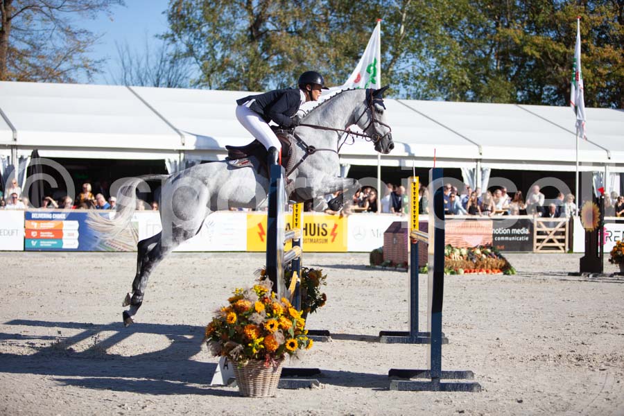 Prüfung showjumping-2 — IMG_4306