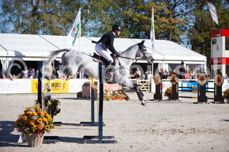 Prüfung showjumping-2 — IMG_4307