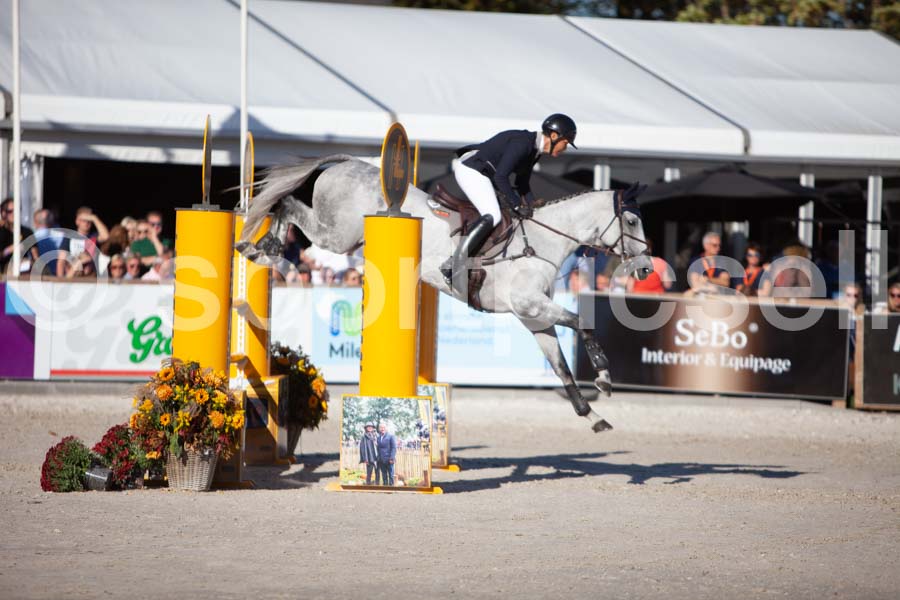 Prüfung showjumping-2 — IMG_4314
