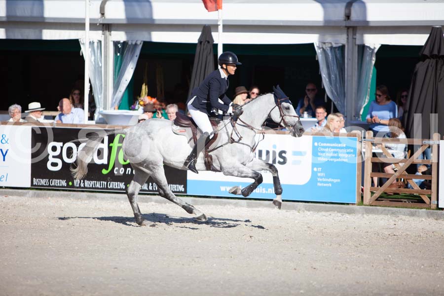 Prüfung showjumping-2 — IMG_4316