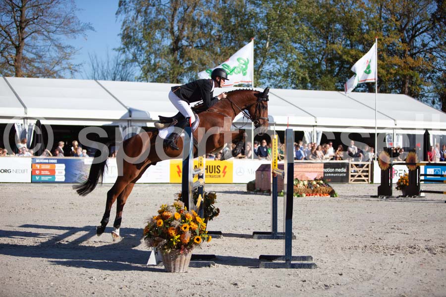 Prüfung showjumping-2 — IMG_4337