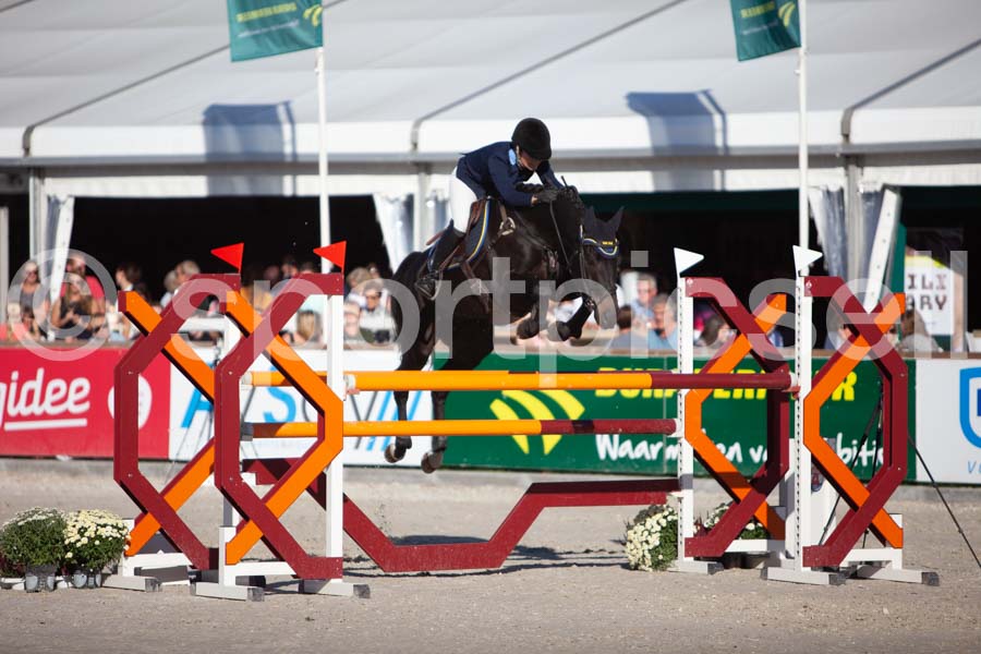 Prüfung showjumping-2 — IMG_4348