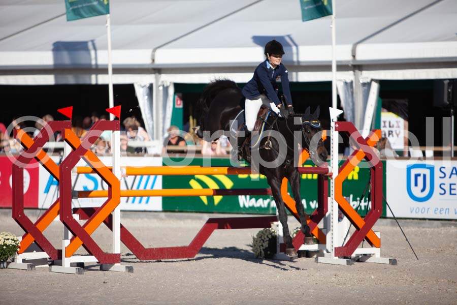Prüfung showjumping-2 — IMG_4349