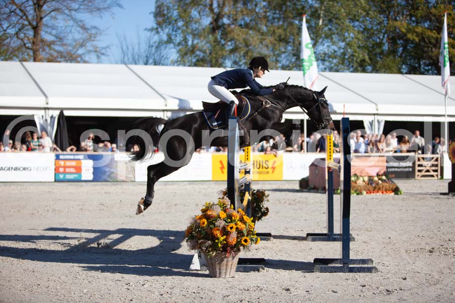 Prüfung showjumping-2 — IMG_4350