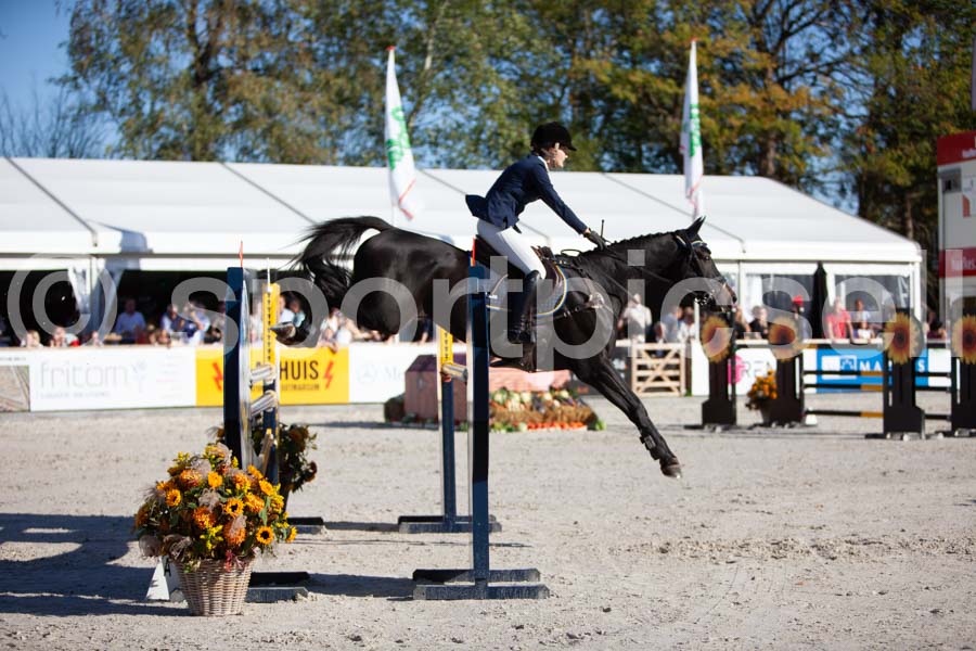 Prüfung showjumping-2 — IMG_4351