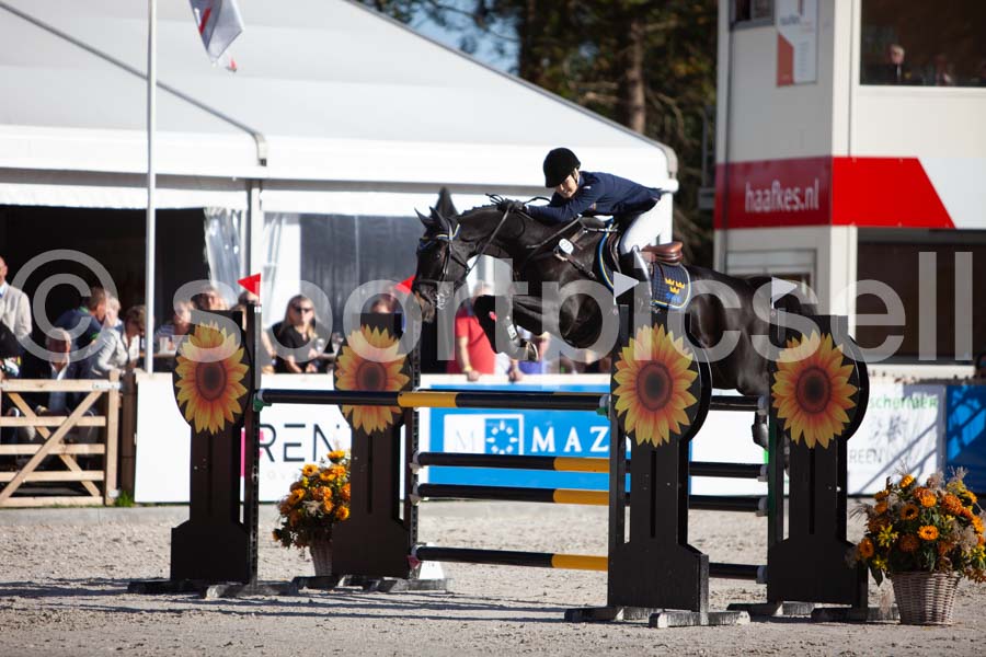 Prüfung showjumping-2 — IMG_4353