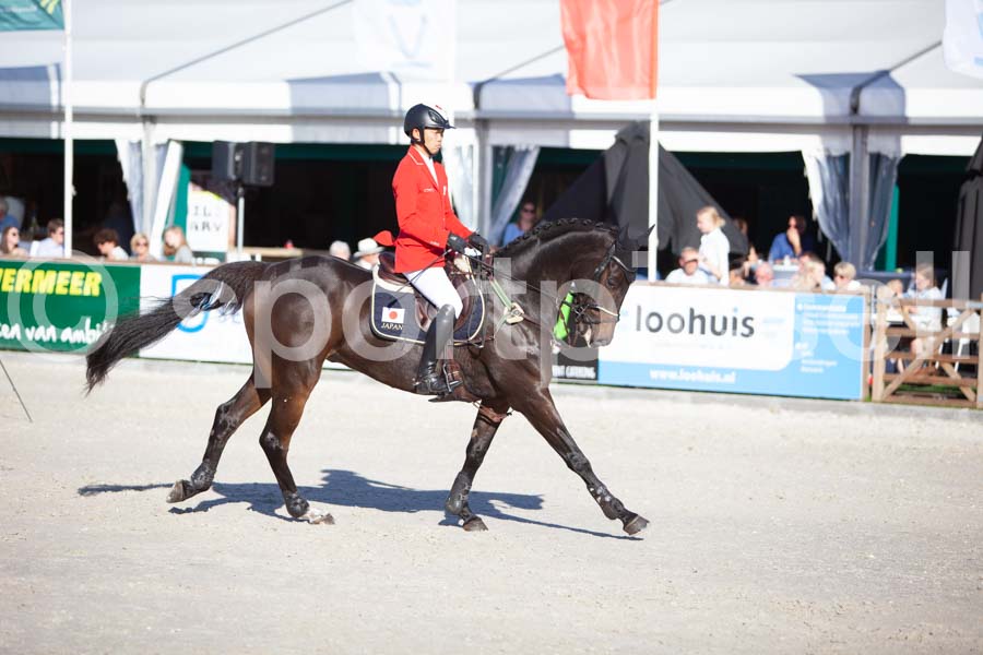 Prüfung showjumping-2 — IMG_4359