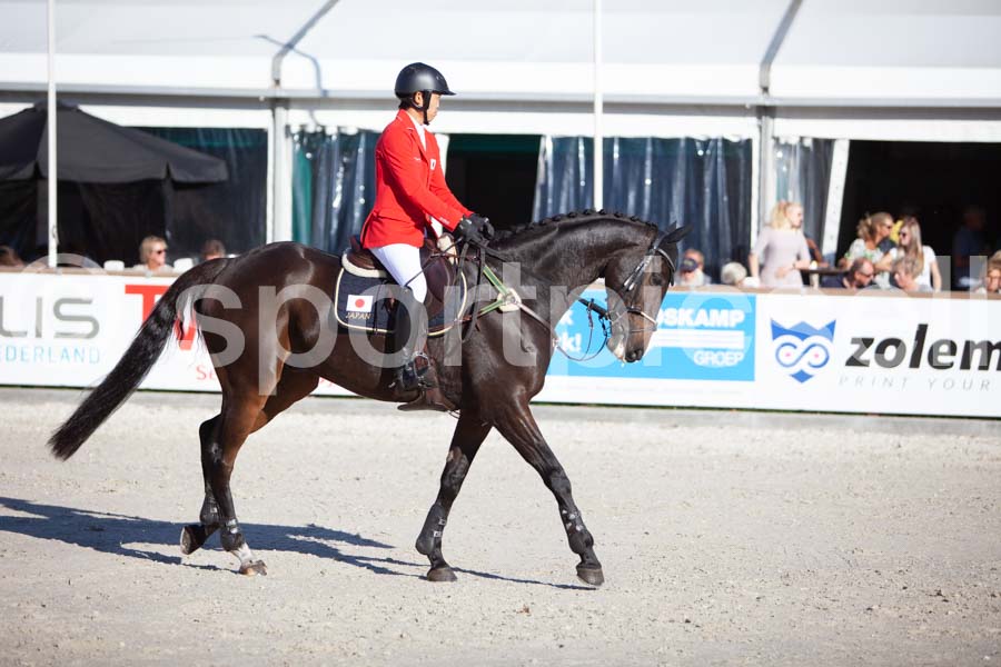 Prüfung showjumping-2 — IMG_4362