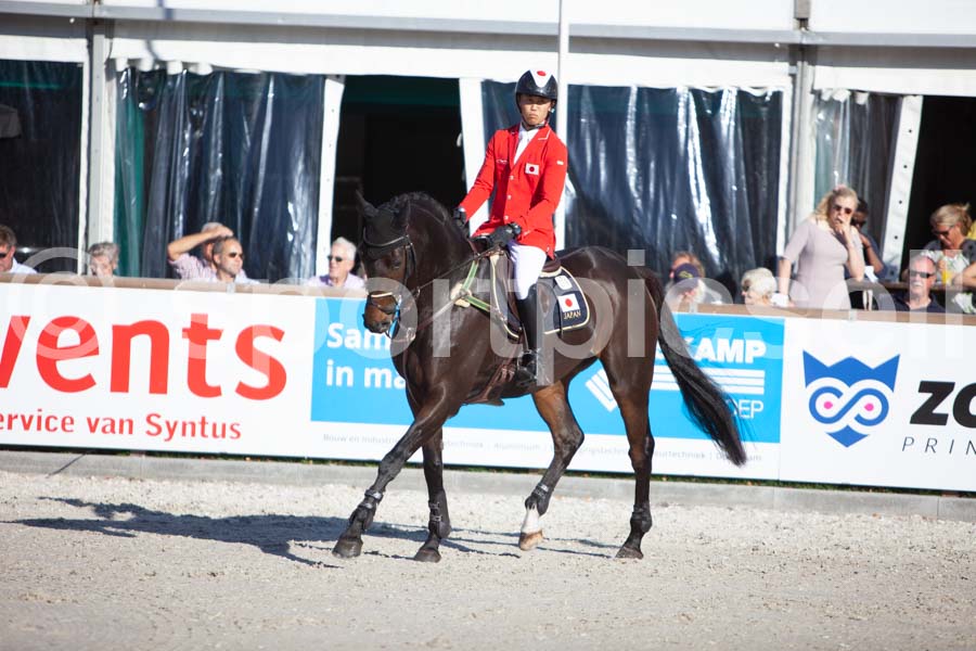 Prüfung showjumping-2 — IMG_4364