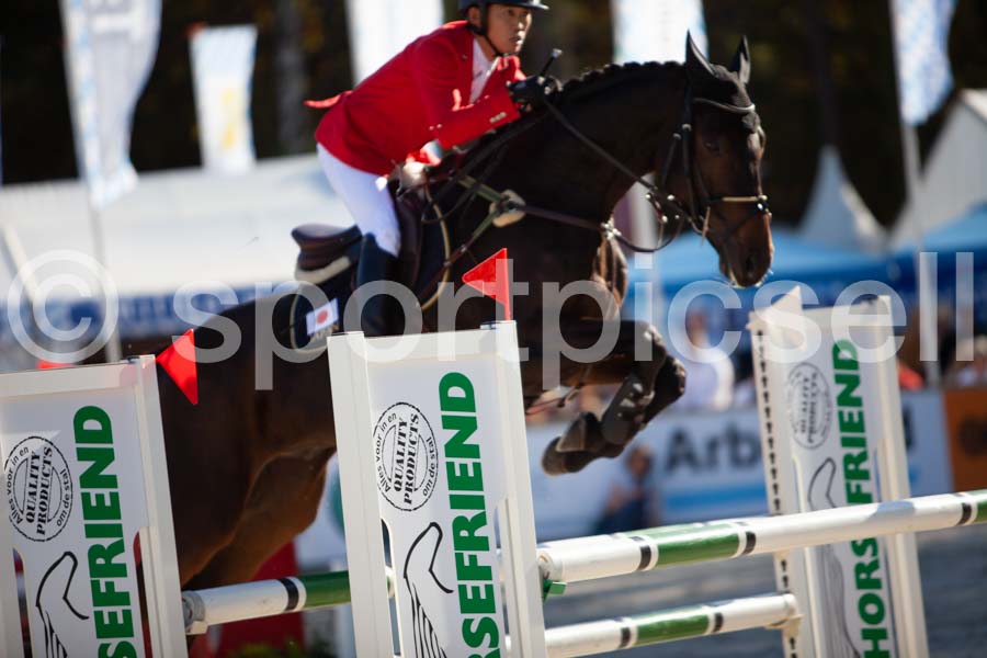 Prüfung showjumping-2 — IMG_4366