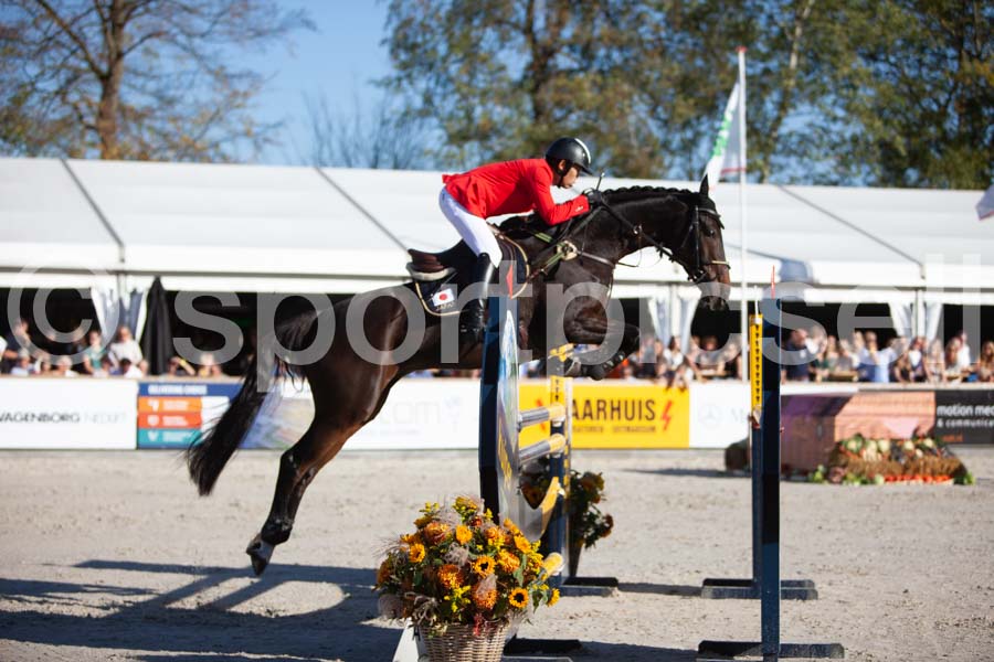 Prüfung showjumping-2 — IMG_4373