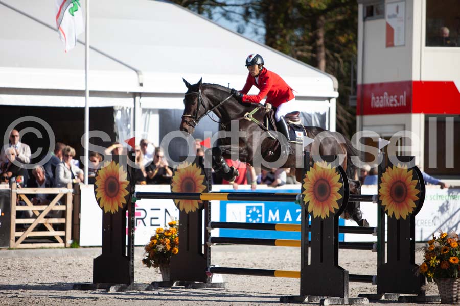 Prüfung showjumping-2 — IMG_4376