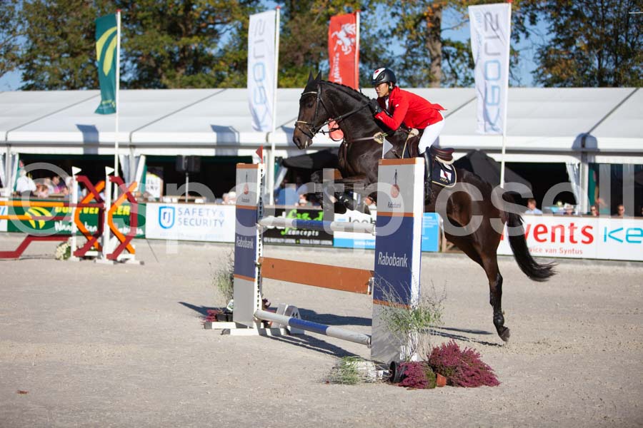 Prüfung showjumping-2 — IMG_4377