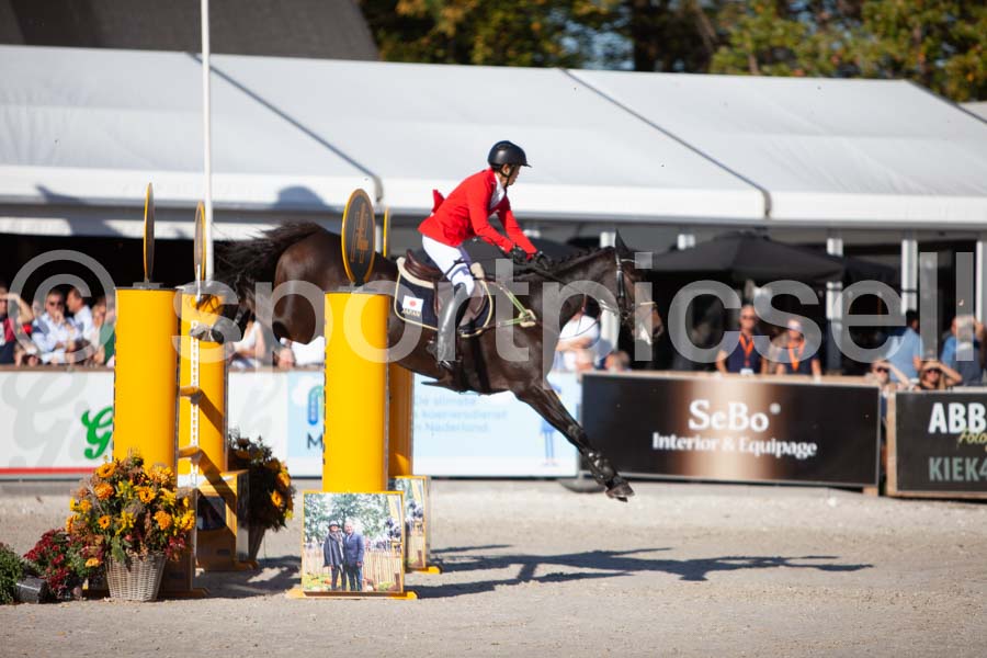 Prüfung showjumping-2 — IMG_4380