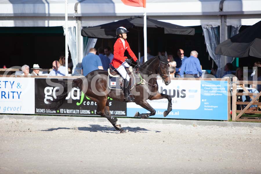 Prüfung showjumping-2 — IMG_4381