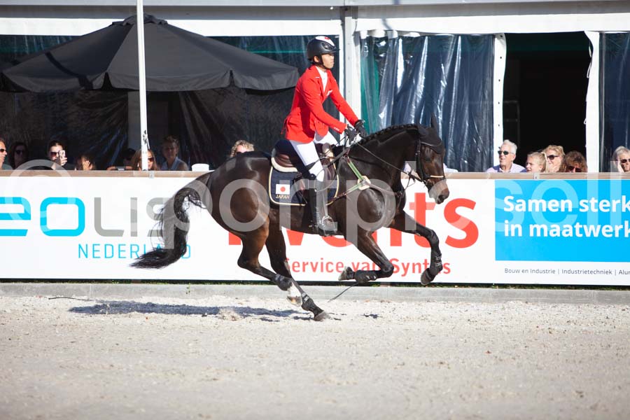 Prüfung showjumping-2 — IMG_4385
