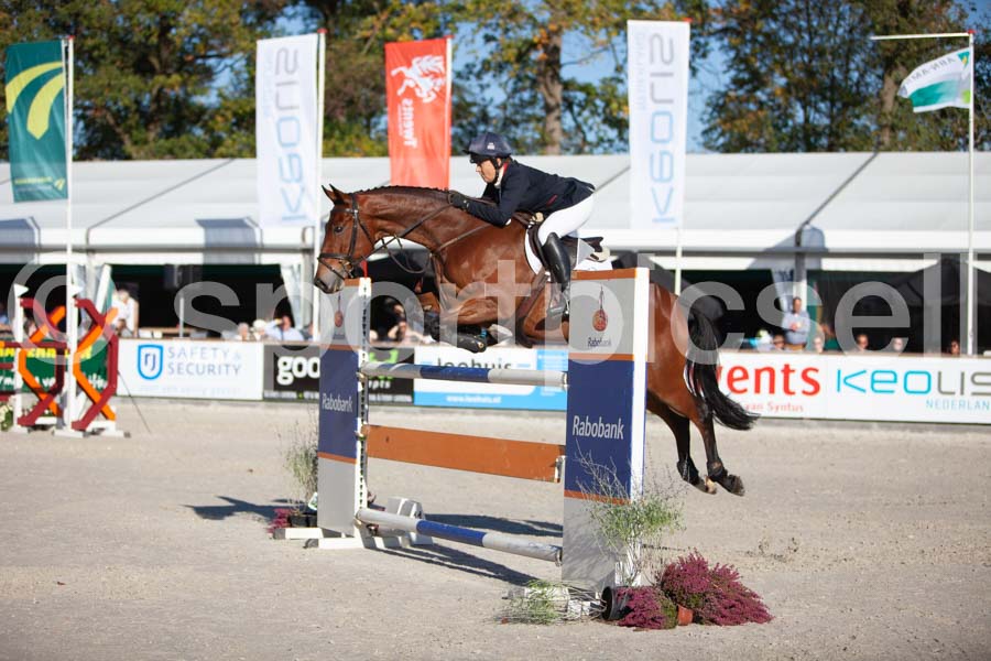 Prüfung showjumping-2 — IMG_4397