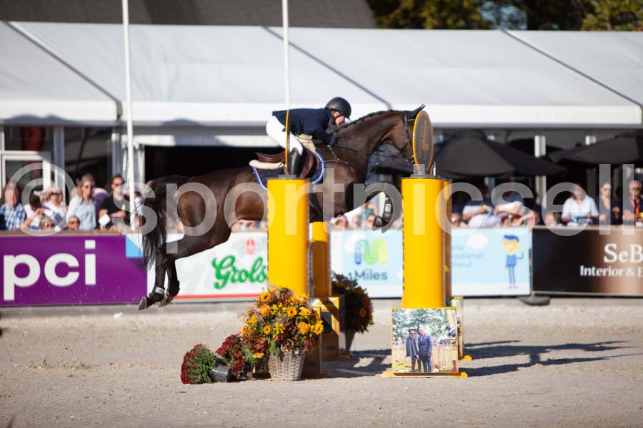 Prüfung showjumping-2 — IMG_4410