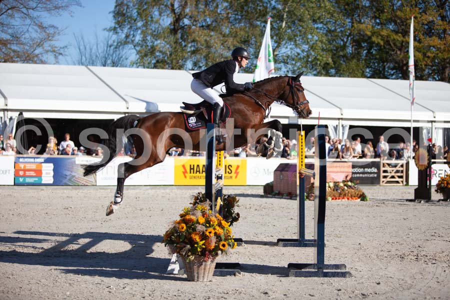 Prüfung showjumping-2 — IMG_4416