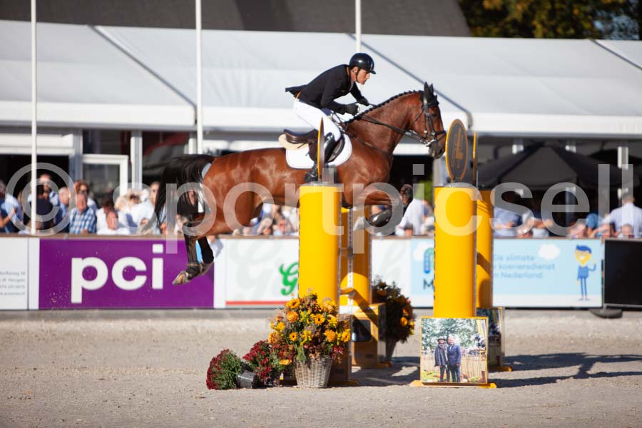 Prüfung showjumping-2 — IMG_4434